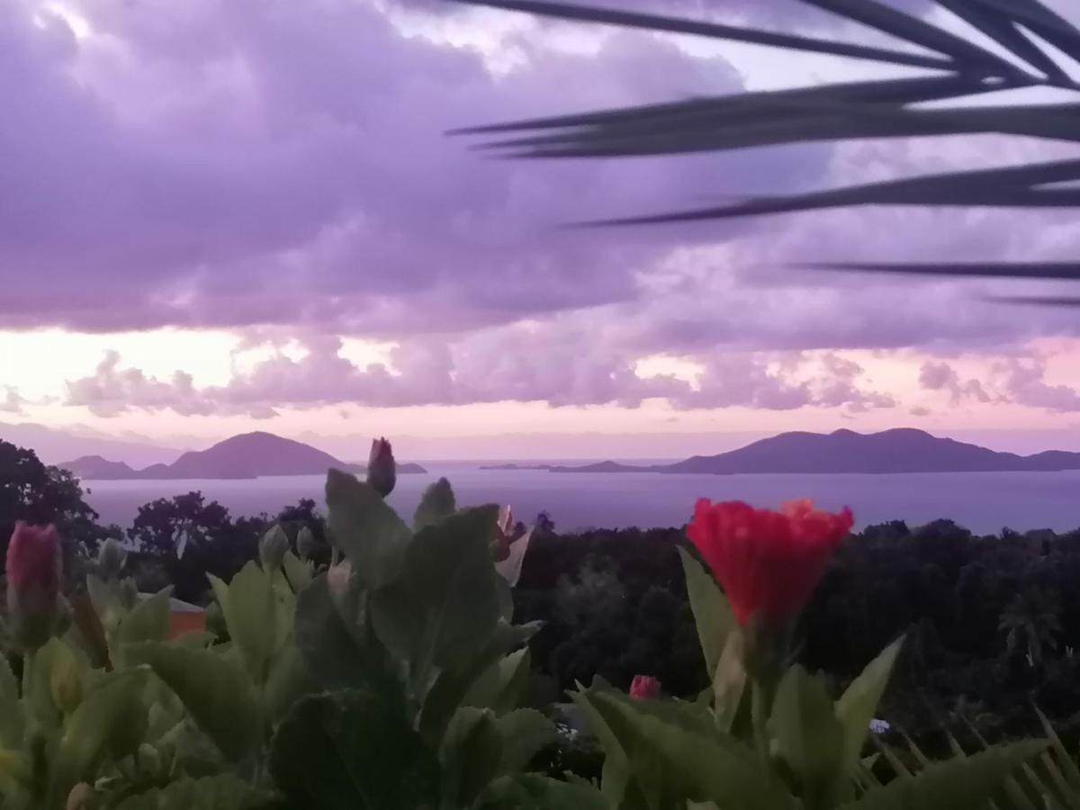 Le Bananier Rouge Villa Trois-Rivières Dış mekan fotoğraf